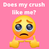 Does My Crush Like Me? Does He Or She Like You? icono