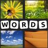 4 Pics 1 Word - 2021 New icono