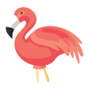 Flamingo Animator icono