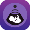 Pregnancy Tracker icono