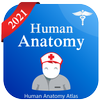 Human Anatomy icono